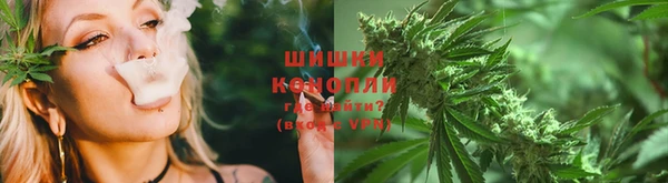 СК Абинск