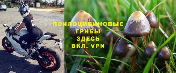 СК Абинск