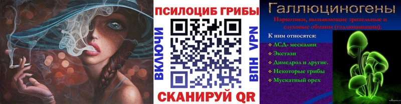 что такое   Хасавюрт  Псилоцибиновые грибы Psilocybine cubensis 